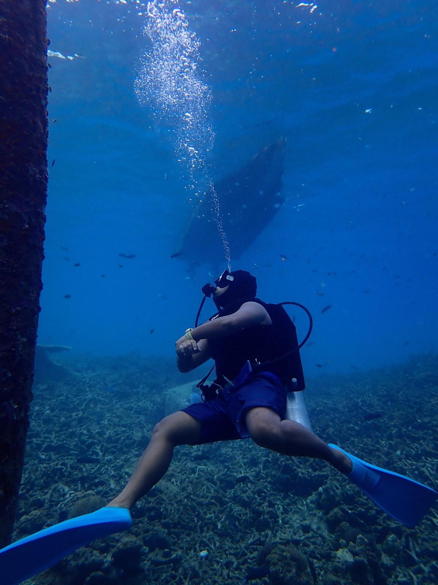 Seahorse Diver Guesthouse Kampong Pasir Panjang  Dış mekan fotoğraf